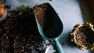 Garden tool