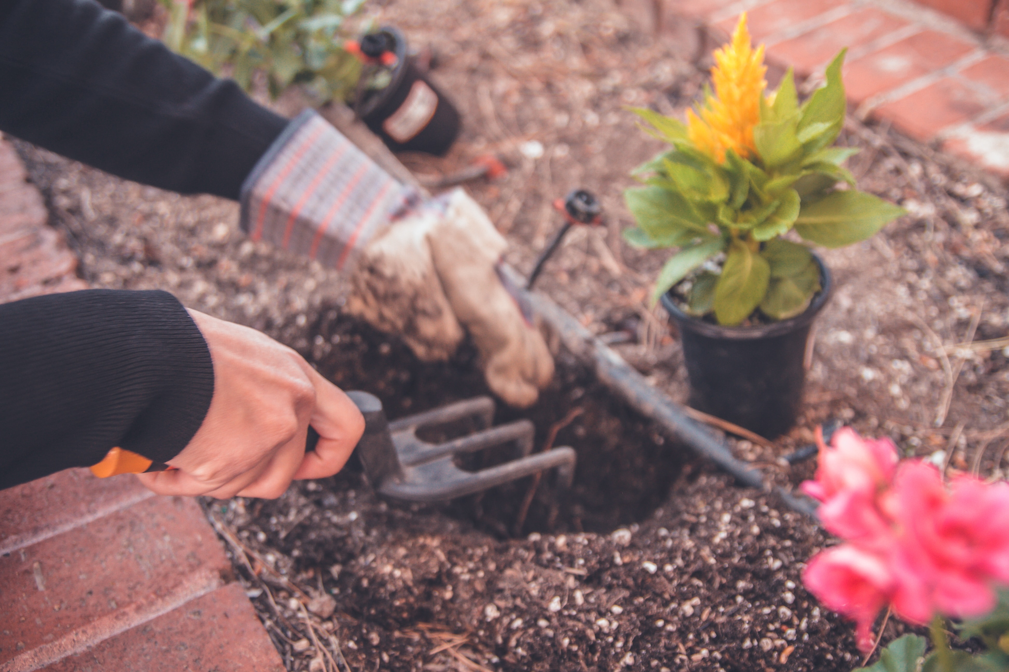 Child gardening