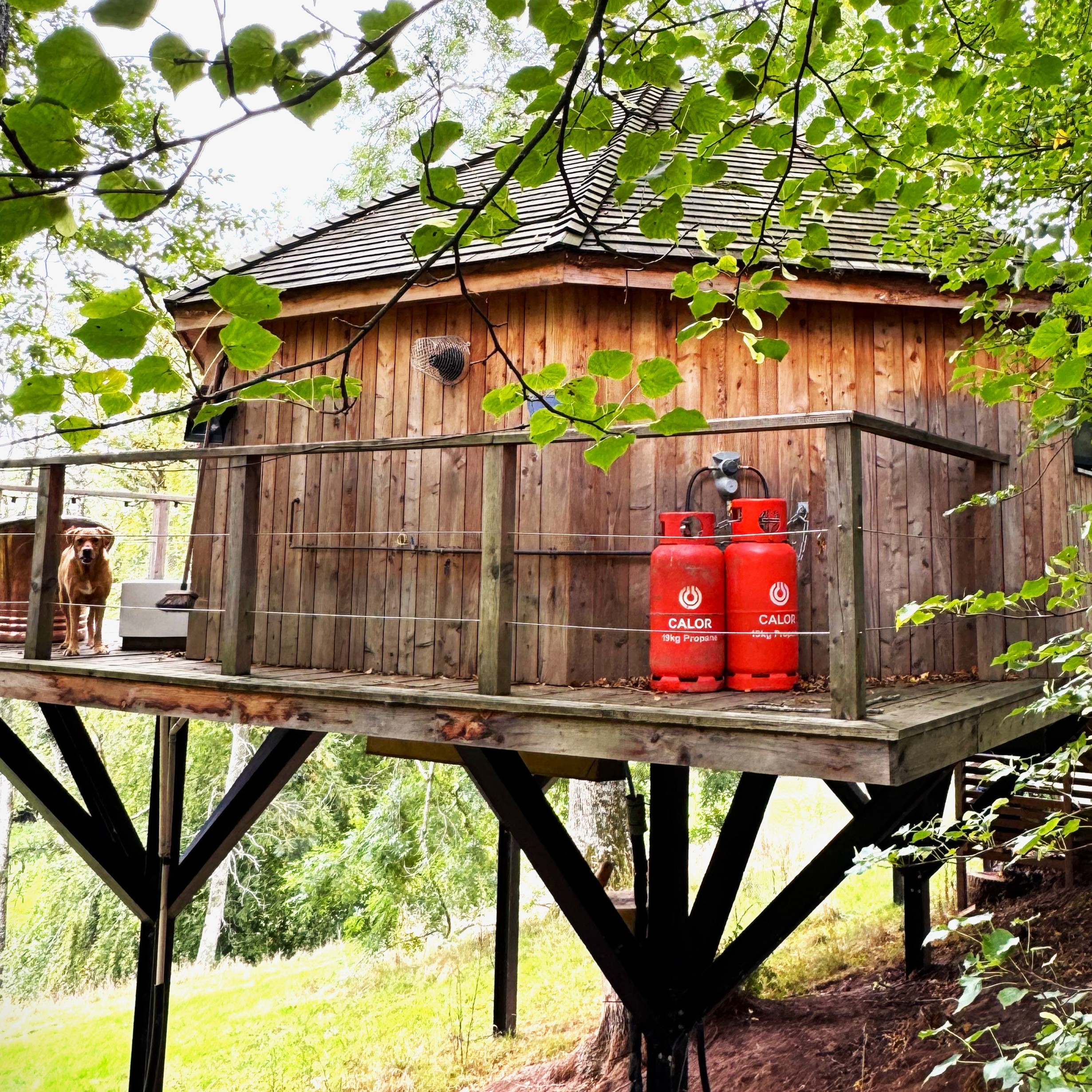 Cabin at the fold fuelled by Calor 19kg cylinders with BioLPG