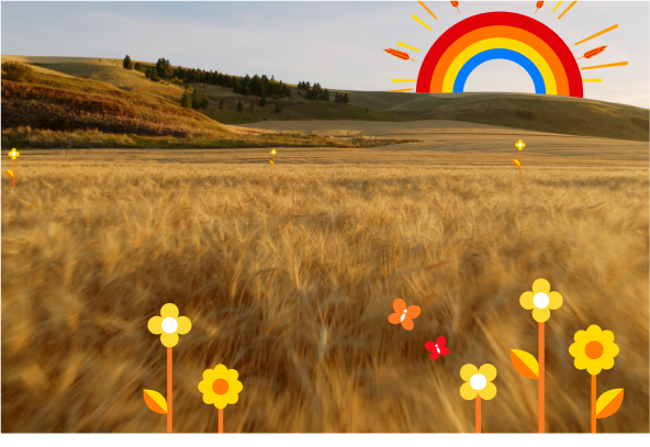 Countryside with animated rainbow and flowers